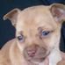 Profile Picture of Mary Ginnery (@mary.ginnery.54) on Facebook
