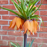 Profile Picture of David Nicholson (@davidnicholson8) on Flickr