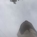 Profile Picture of Rogerchaneyfield (@jrchaneyfield2019) on Instagram