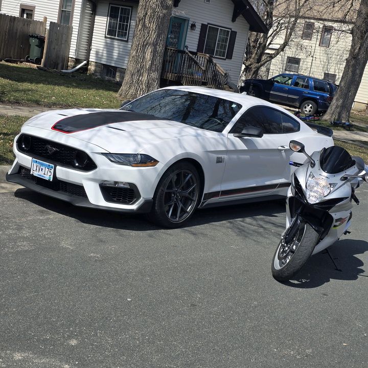 Profile Picture of Saul Cardenas (@saulcardenas04) on Tiktok