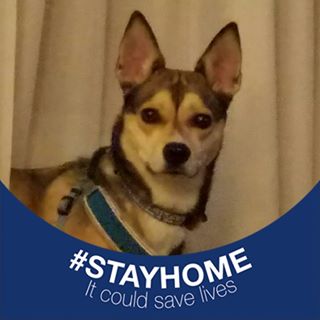 Profile Picture of Leigh Stanislaw (@Leigh-Stanislaw) on Facebook