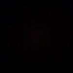 Profile Picture of Steven Blinddog Heyer (@steven_blinddog_heyer) on Instagram