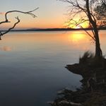Profile Picture of Ben Monk (@benno.monk) on Instagram