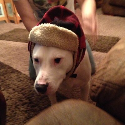 Profile Picture of Tyler Smiley (@TylerSmiley) on Twitter