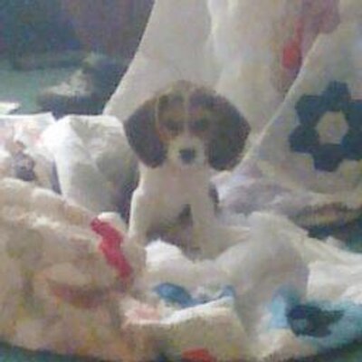 Profile Picture of Randel Wayne Moore (@dolgatha) on Twitter