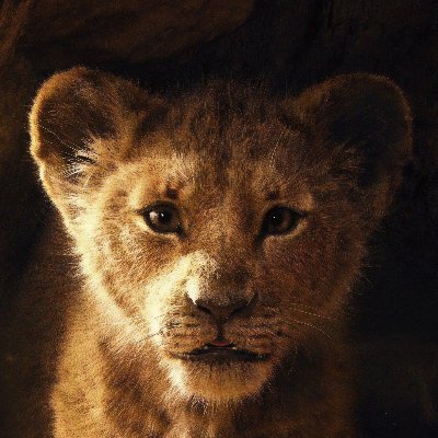 Profile Picture of Michael Purser  🌐 (@Michael_Purser) on Twitter