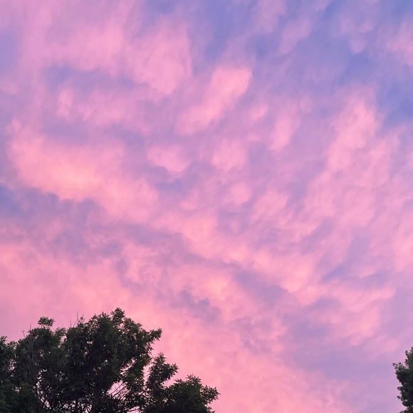 Profile Picture of Brianna Alvarez (@briannaalvar581) on Poshmark