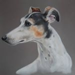 Profile Picture of Angela Swan (@angela.swan.37) on Instagram