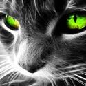 Profile Picture of Chris Channell (@chriscchannell) on Pinterest