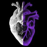 Profile Picture of Casey Chambers (@jollygood14) on Instagram