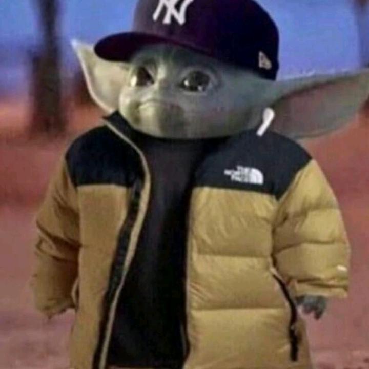 Profile Picture of Sebastian Morar (@seb.tk) on Tiktok