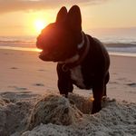 Profile Picture of Bailey Miranda (@bailey_miranda_) on Instagram