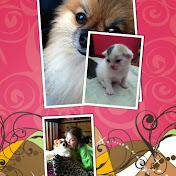 Carissa Lambert - Youtube Profile Picture of Carissa Lambert (@carissalambert479) on Youtube