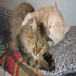 Barbara Jones - Instagram Profile Picture of Barbara Jones (@aajanacitron) on Instagram