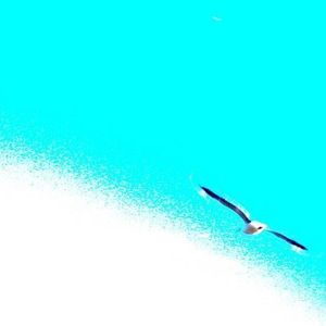 Profile Picture of Joy Valencia (@joychicago) on Myspace