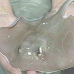 Profile Picture of Марк Паленков (@gmail.coooom) on Instagram