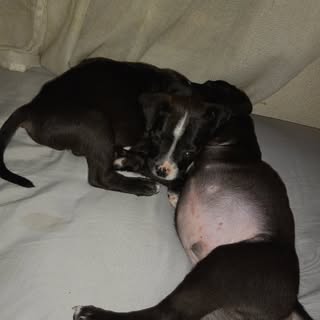 Profile Picture of Justin Allmon (@justin.allmon) on Instagram