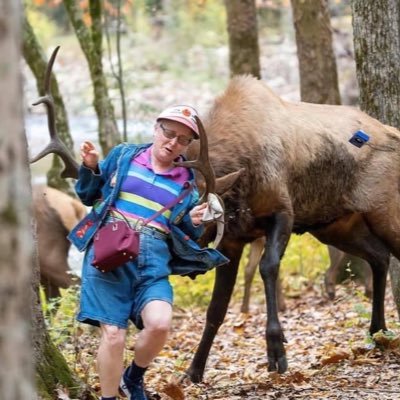 Profile Picture of Caleb Mitchell (@Caleb_TN) on Twitter