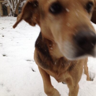 Ben Ricketts - Twitter Profile Picture of Ben Ricketts (@@rickettsben) on Twitter