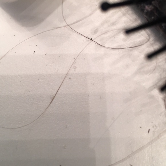 Adam Akkouche - Poshmark Profile Picture of Adam Akkouche (@adam4321_) on Poshmark