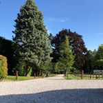 Profile Picture of Toby Quinn (@tobybquinn) on Instagram