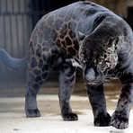 Profile Picture of Carey Cloud (@carey.cloud.18) on Facebook