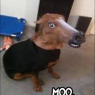 Profile Picture of Mickey Kennedy (@zueiropai) on Twitter