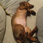 Profile Picture of Jacob Doran (@jacob_doran_09) on Instagram