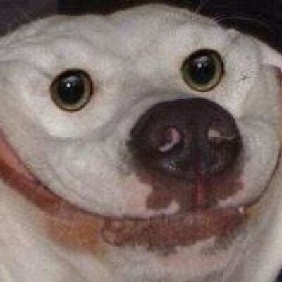 Profile Picture of Adam Longoria (@fire2154) on Twitter