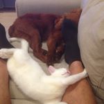 Profile Picture of Peter Challender (@peterchallender) on Instagram