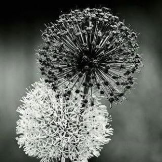 Profile Picture of Jennifer McGowen Eastman (@BrattyJeni) on Facebook