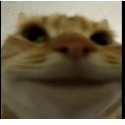 Profile Picture of Filip Kymlička (@filip_kymlicka) on Twitter