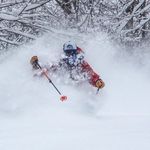 Profile Picture of James Rauch (@james__and_friends) on Instagram