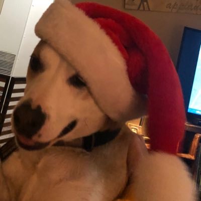 Profile Picture of Ronald Gifford (@ronaldgifford6) on Twitter