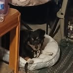 Barbara Binger - Facebook Profile Picture of Barbara Binger (@barbara.binger.2025) on Facebook