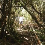 Luis Lizarazo - Instagram Profile Picture of Luis Lizarazo (@luis.lizarazo1) on Instagram