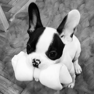 Profile Picture of Vittorio Lorenzo Diessler (@vittoriolorenzo.diessler) on Facebook