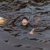 Profile Picture of Caleb Kim (@caleb.kim.946954) on Facebook