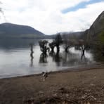 Profile Picture of Debbie Marion Haurie (@debbiemarion.haurie.7) on Facebook