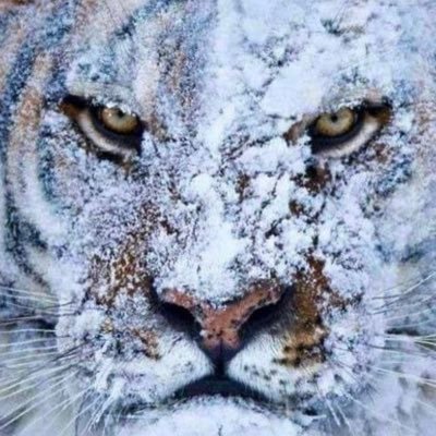 Profile Picture of Josh Kraemer (@josh18__) on Twitter