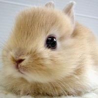 Profile Picture of Gabriel Yeung (@gabriel-yeung-7) on Quora