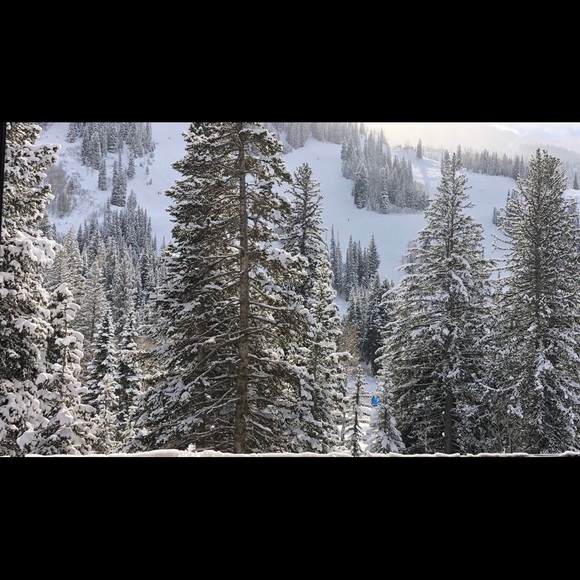 Profile Picture of Cora Castleberg (@ccastleberg) on Poshmark