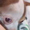 Profile Picture of james hitt (@@jboy11413) on Tiktok