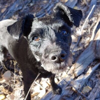 Profile Picture of Steven Sugarman (@SCSugarman) on Twitter