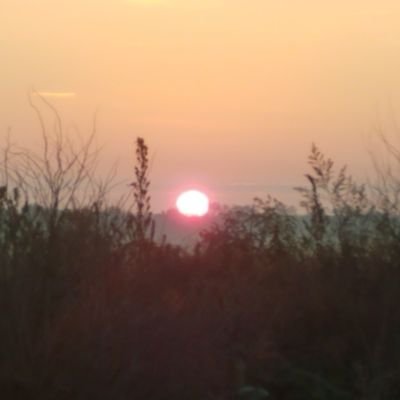Profile Picture of Jason Rudnick (@jrdrsr) on Twitter