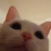 Profile Picture of 𝕮𝖆𝖗𝖑𝖔𝖘 (@carlosquinterosramirez0185) on Pinterest