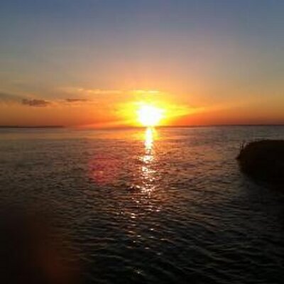 Profile Picture of Silvia Falcon (@silviafalcon9) on Twitter