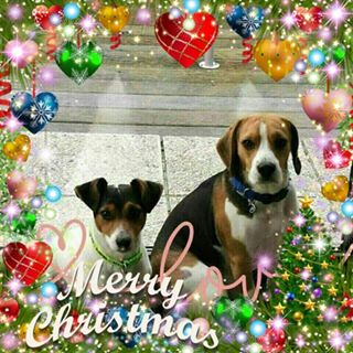 Profile Picture of Bart Wittenberg (@bart.wittenberg.3) on Facebook