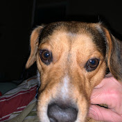 Profile Picture of Jonathan Wilson (@jonathanwilson7577) on Youtube