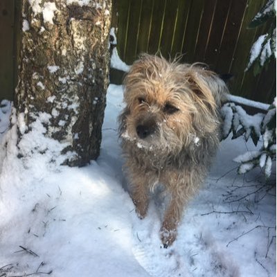Profile Picture of Katie Judge (@katiejudge12) on Twitter